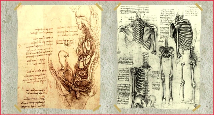 leonardo da vinci sketches 1